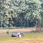 Le Du Manoir Normand Appartement *