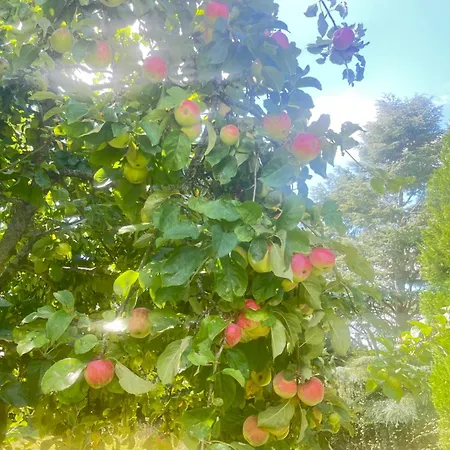 Lägenhet Le Du Manoir Normand